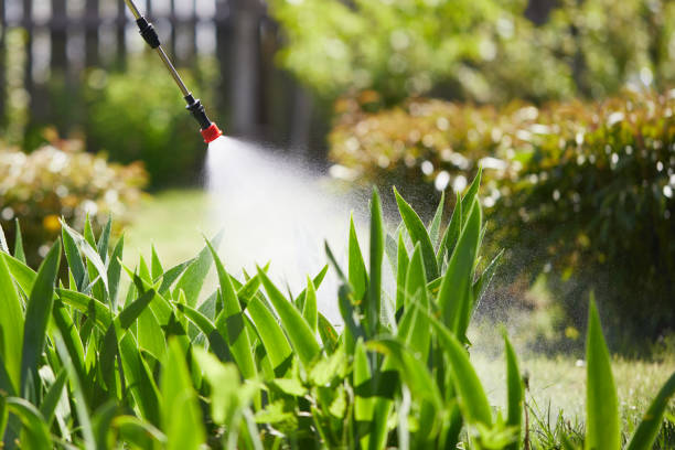 24/7 Emergency Mosquito Control experts in Canton, OH