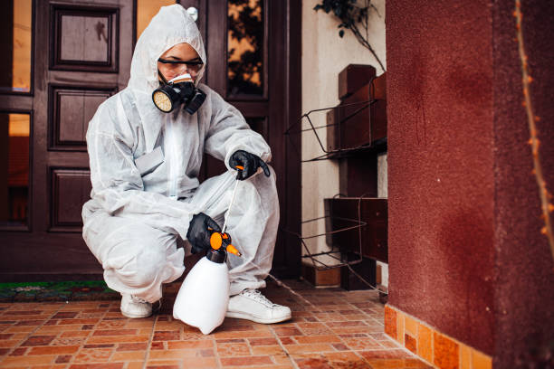 Reliable Mosquito Control contractor in Canton, OH by Show Me Pest Control