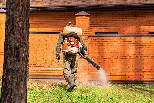 Top rated local Mosquito Control specialists in Canton, OH